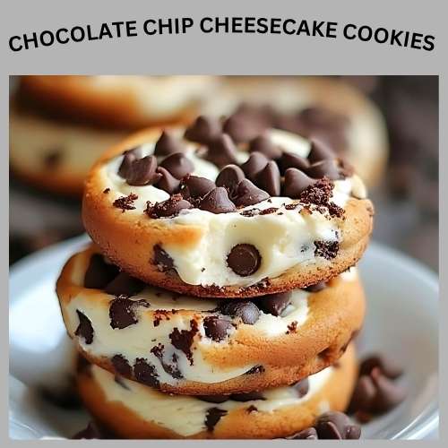Chocolate Chip Cheesecake Cookies
